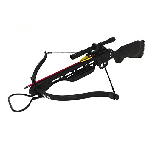 best crossbow on the market