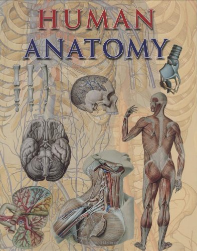 (VIDEO Review) Human Anatomy : Best Deals : MD News Daily