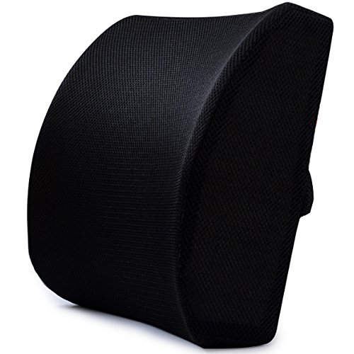 Top 5 Best lumbar and seat cushion for sale 2017 : Product : MD News Daily