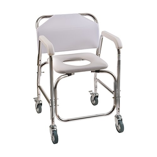 wheelchair with toilet seat